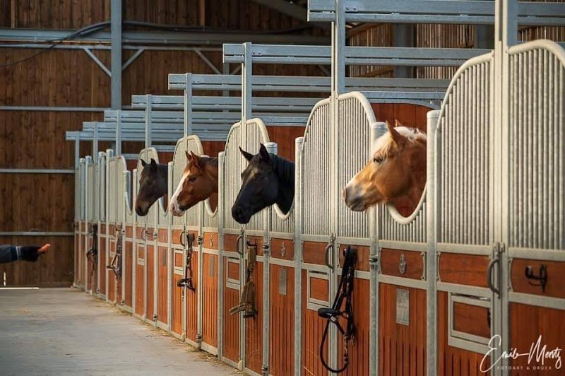 Ecurie Léiteschhaff