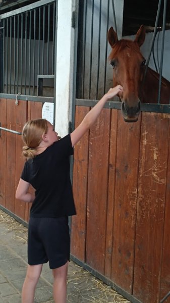 Ecurie Du Lac - photo 1