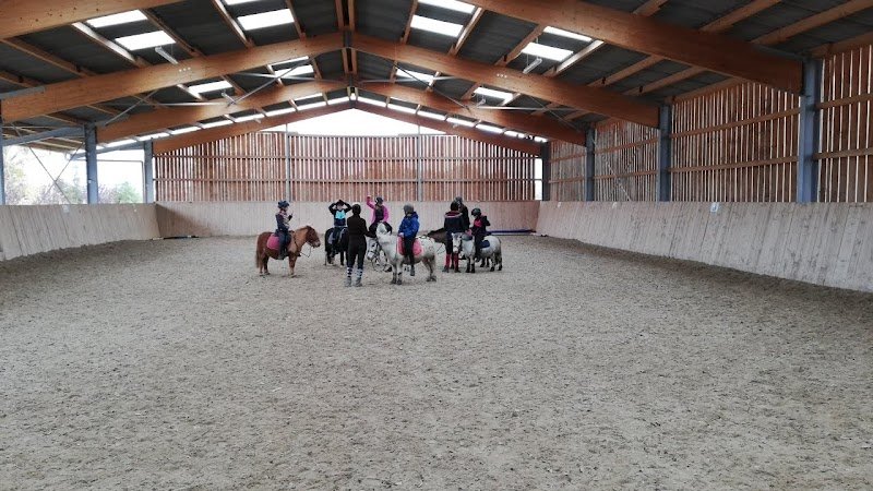 Ecurie Du Lac - photo 3