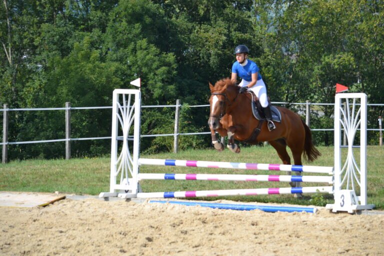 MANEGE DE GRANGES-SUR- MARLY Sàrl - photo 1