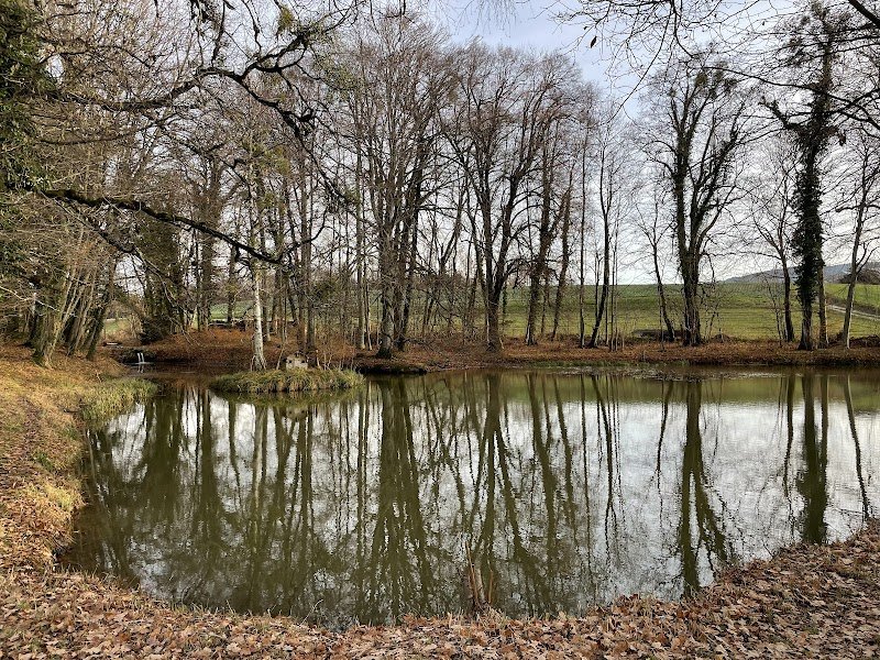 MANEGE DE GRANGES-SUR- MARLY Sàrl - photo 2