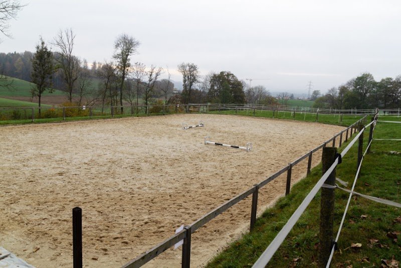 MANEGE DE GRANGES-SUR- MARLY Sàrl - photo 3