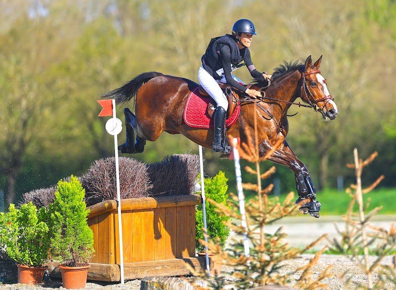 Ecurie Denogent - photo 1
