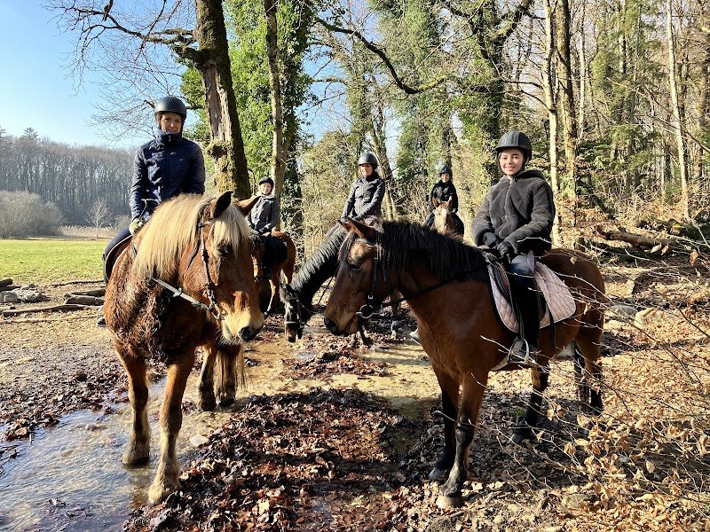 Ecurie Denogent - photo 2