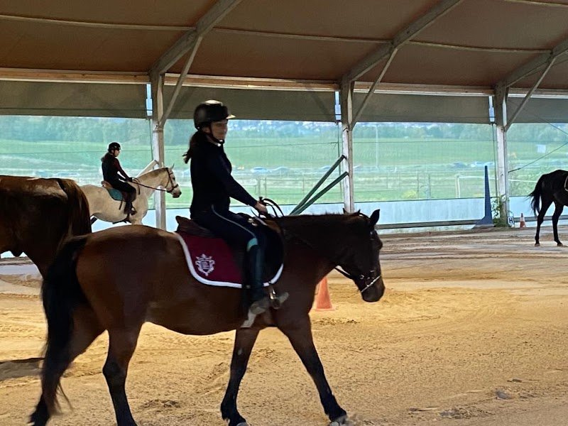 Ecurie Denogent - photo 3