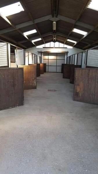 Haras du Chenois - photo 2