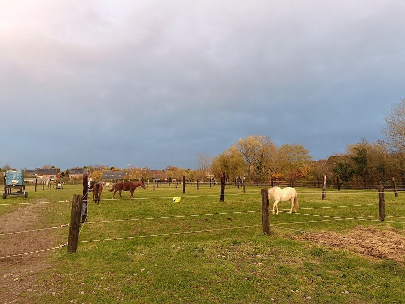 Haras du Chenois - photo 3