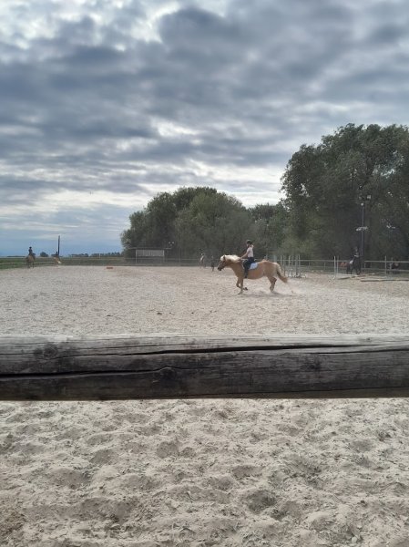 ECURIE MURINGER - photo 2