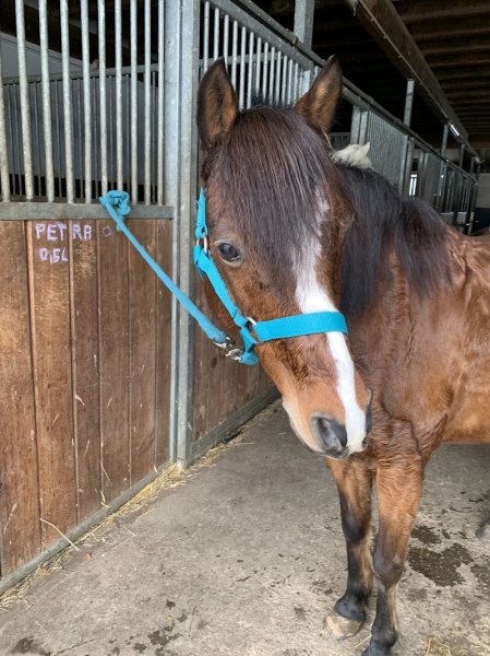 ECURIE MURINGER - photo 3