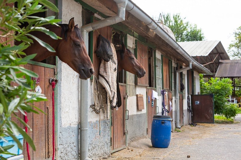 Écurie Ludmann - photo 1