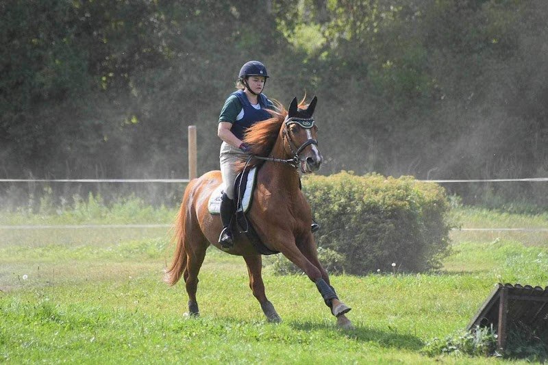 Écurie Ludmann - photo 2