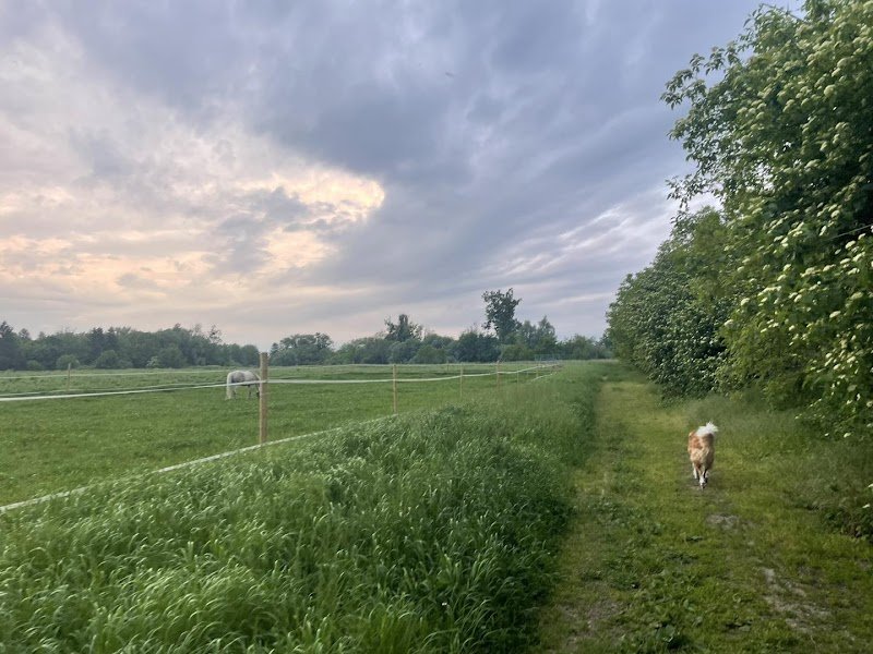 Écurie Ludmann - photo 3