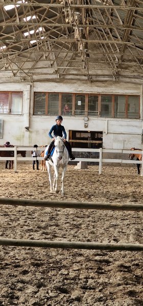 CENTRE EQUESTRE DES DEUX RIVES - photo 3