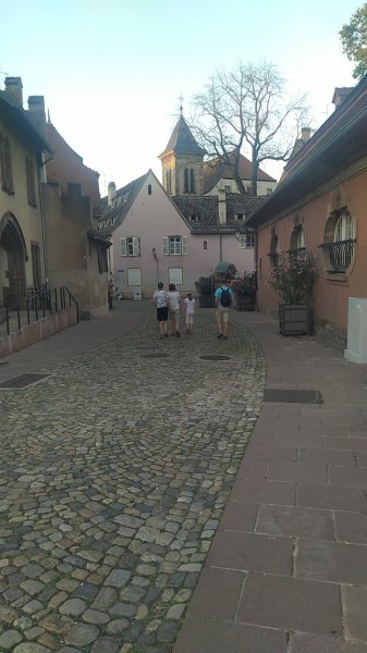 SCA Haras de la Barbottiere - photo 1