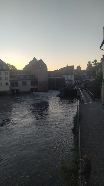 SCA Haras de la Barbottiere - photo 2