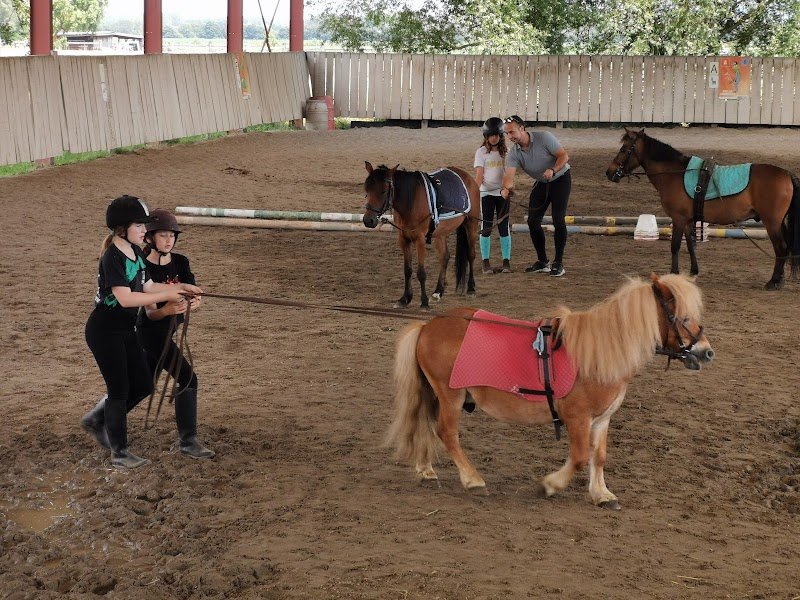 SAS Écurie de la Basse Zorn