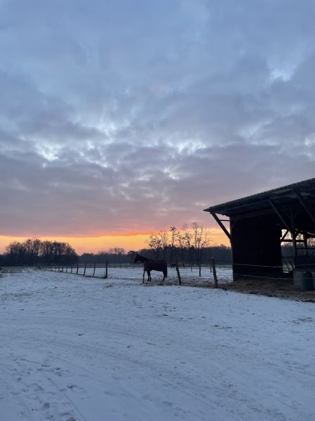Pension l’équi-libre - photo 3