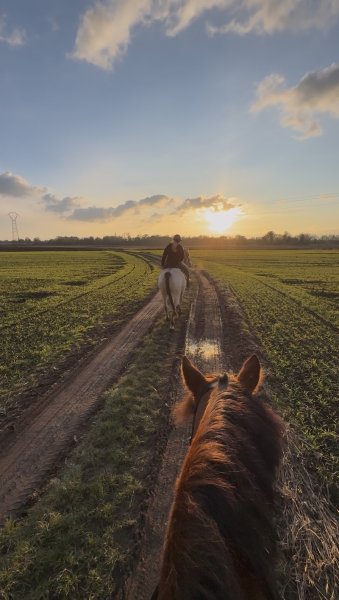 Écurie de l’Ô - photo 1