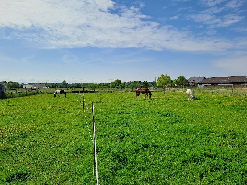 Ecurie Celine et sa Cavalerie - photo 2