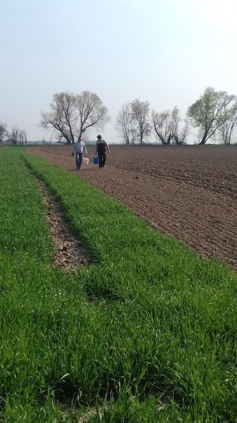 Écuries du LITZELFELD - photo 3