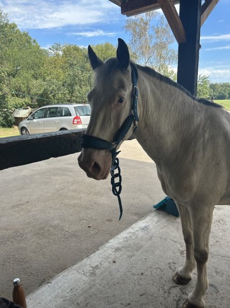 Écuries du Giessen - photo 1