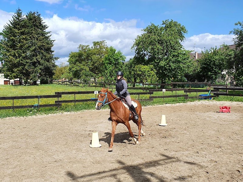École pour jeunes chevaux - Écurie De Helsa - photo 2