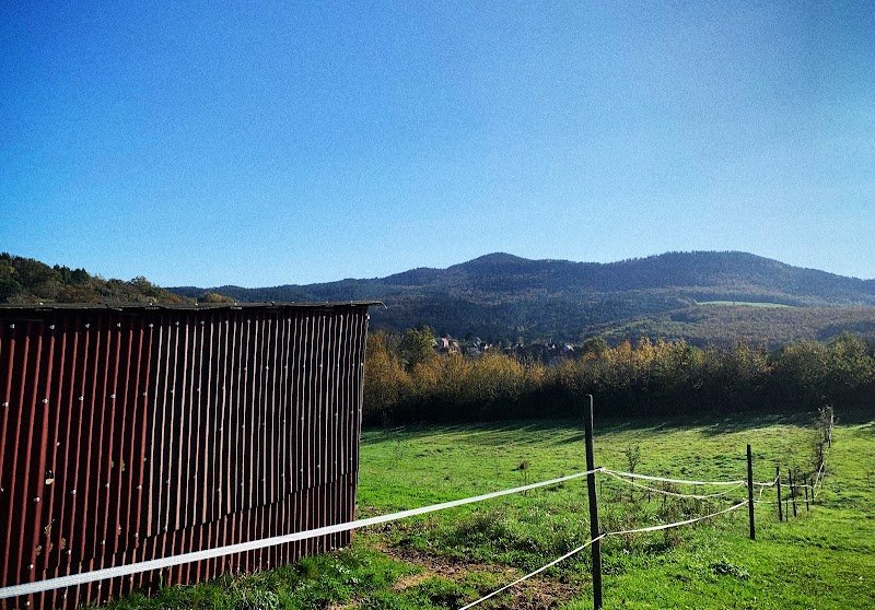 Ferme Equestre PETER - photo 1