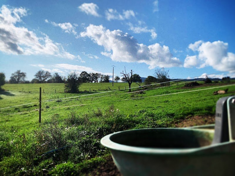 Ferme Equestre PETER - photo 2