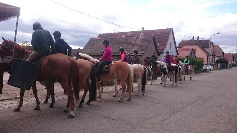 Ecurie Denis Fritsch - photo 3