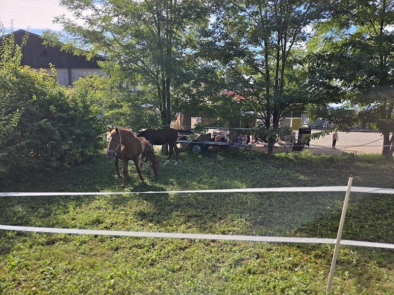 Écurie du Hohrust - photo 2