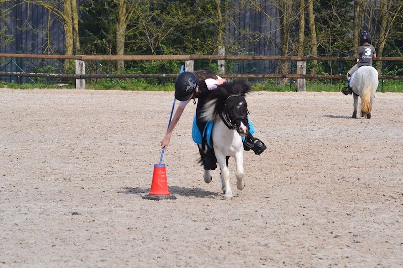 Haras Des Bussières - photo 2