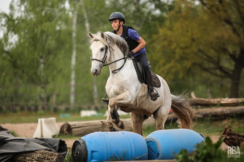 Centre Equestre des Papillons