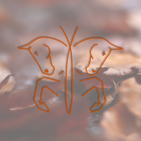 Centre Equestre des Papillons - photo 2