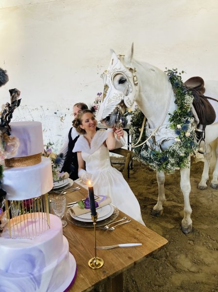 MJ Horses Events - photo 1