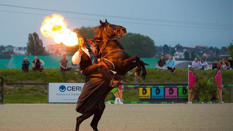 MJ Horses Events - photo 2