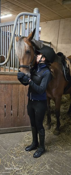 Haras du Knistelberg - photo 3