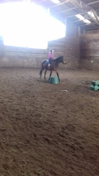 Club Hippique de Saverne