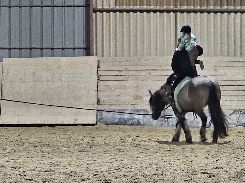 Club Hippique de Saverne - photo 2