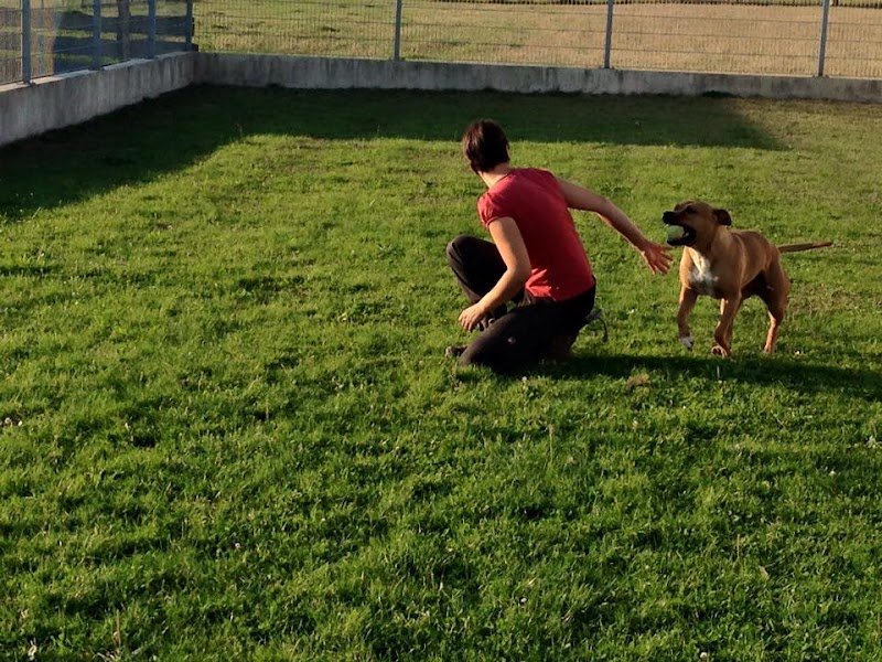 Pension de l'Ecluse - photo 1