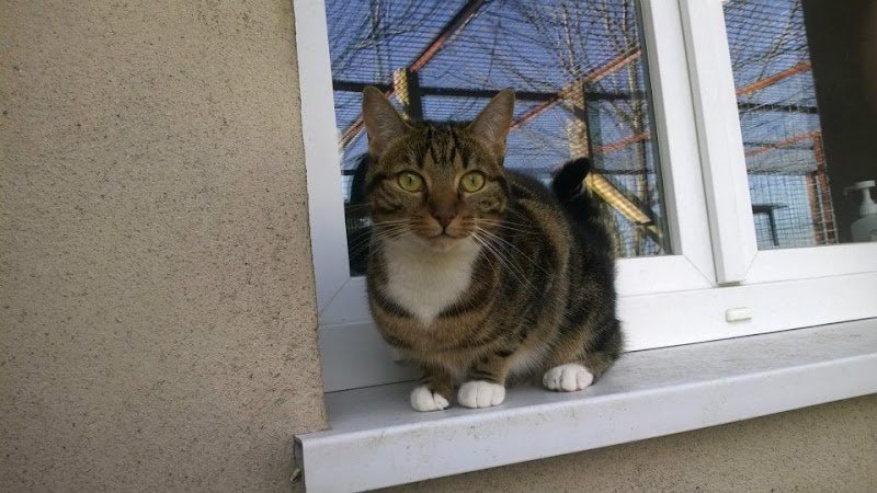 Pension de l'Ecluse - photo 2