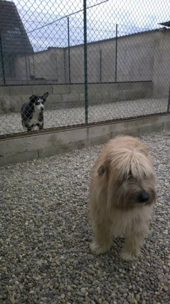 Pension de l'Ecluse - photo 3