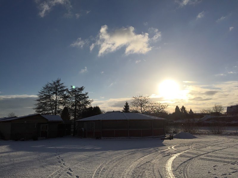 ECURIE FABIEN EHRHART - PONEY CLUB JUMPING 2001