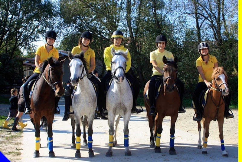 Poney CLub d'Alsace - photo 1