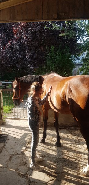 Poney CLub d'Alsace - photo 2