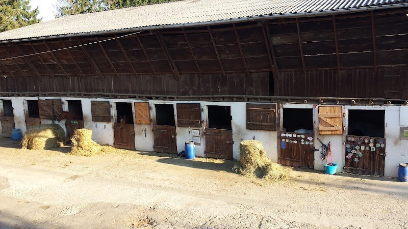 Ferme Équestre Werly - photo 2