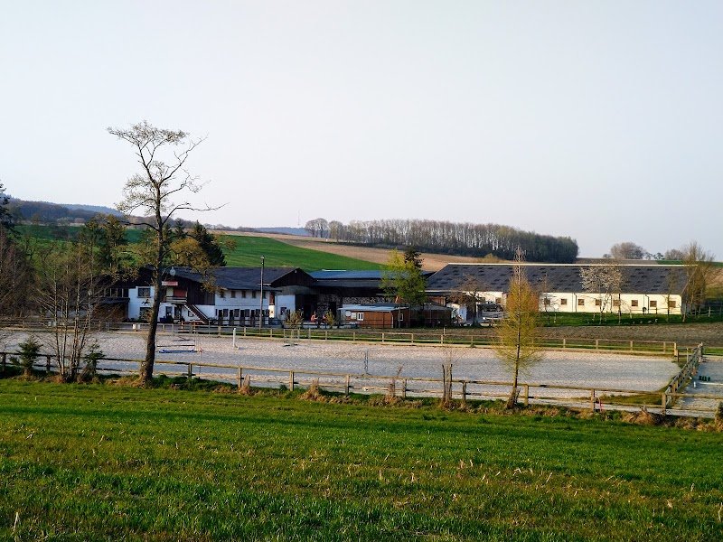 Ferme Équestre Werly - photo 3