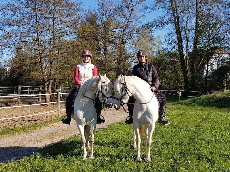 Écurie des crins blancs - photo 2