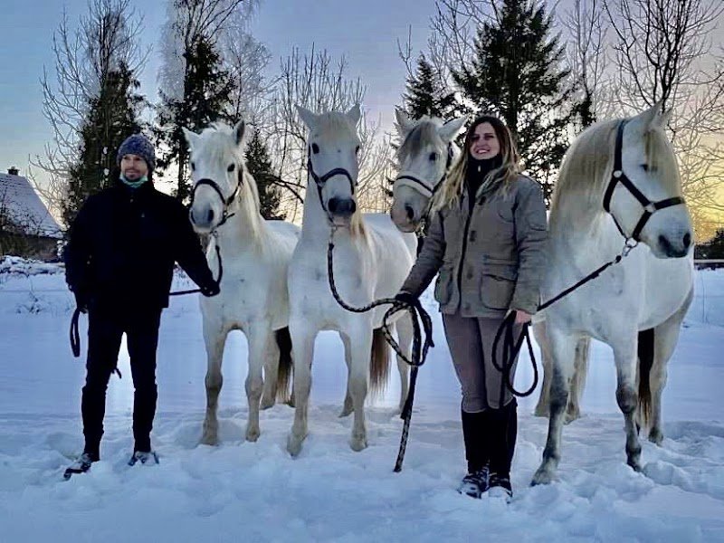 Écurie des crins blancs - photo 3