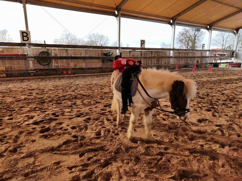 Poney Club Des Écureuils - photo 3
