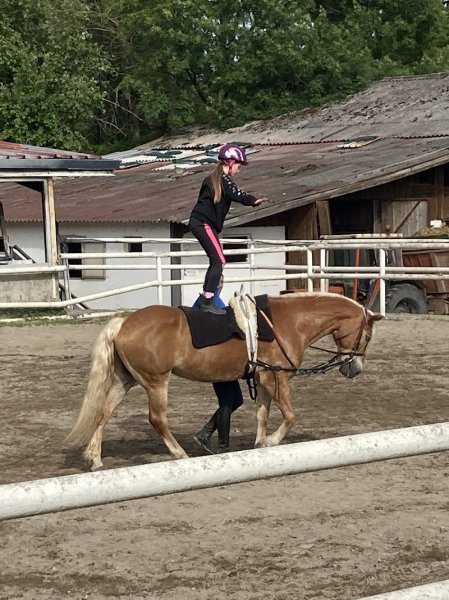 Haras De La Née - photo 1